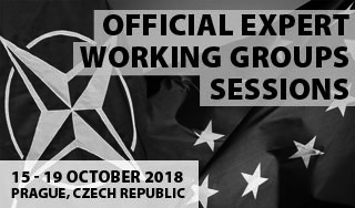 Official working groups' sessions 2018